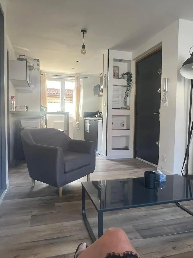 Appartement Traversant Lyon 8