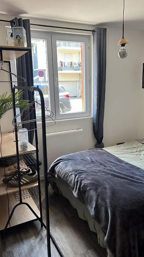 Apartment Appartement Traversant Lyon 8