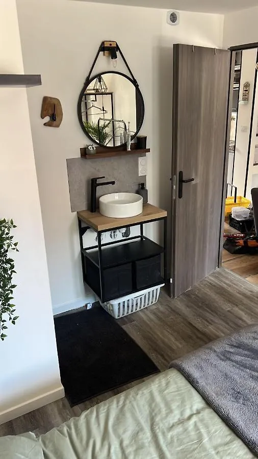Apartment Appartement Traversant Lyon 8